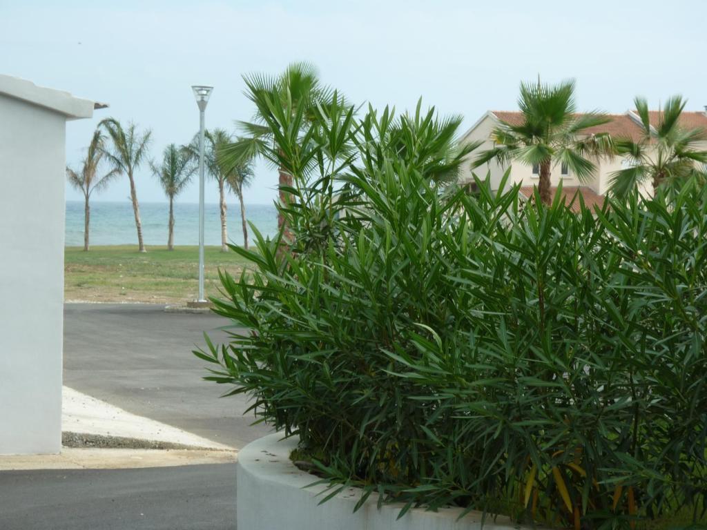 Residence Marea Resort Santa-Lucia-di-Moriani Zewnętrze zdjęcie